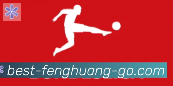 凤凰体育合作伙伴